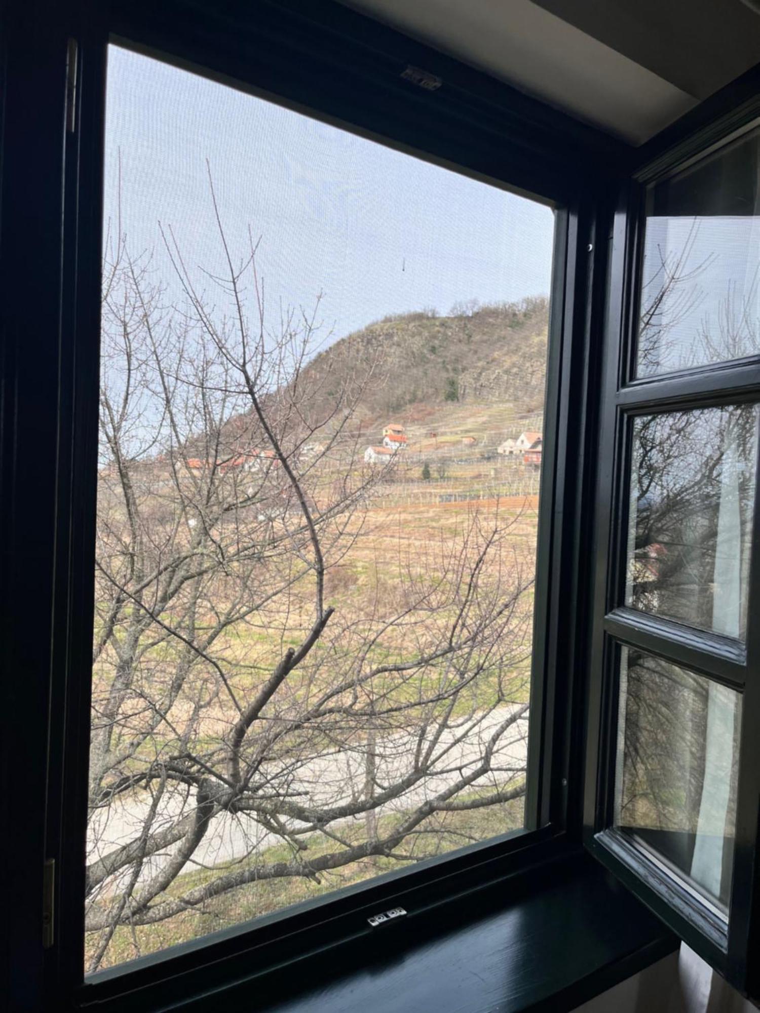 Somlo Wineshop Guesthouse Somlovasarhely Buitenkant foto