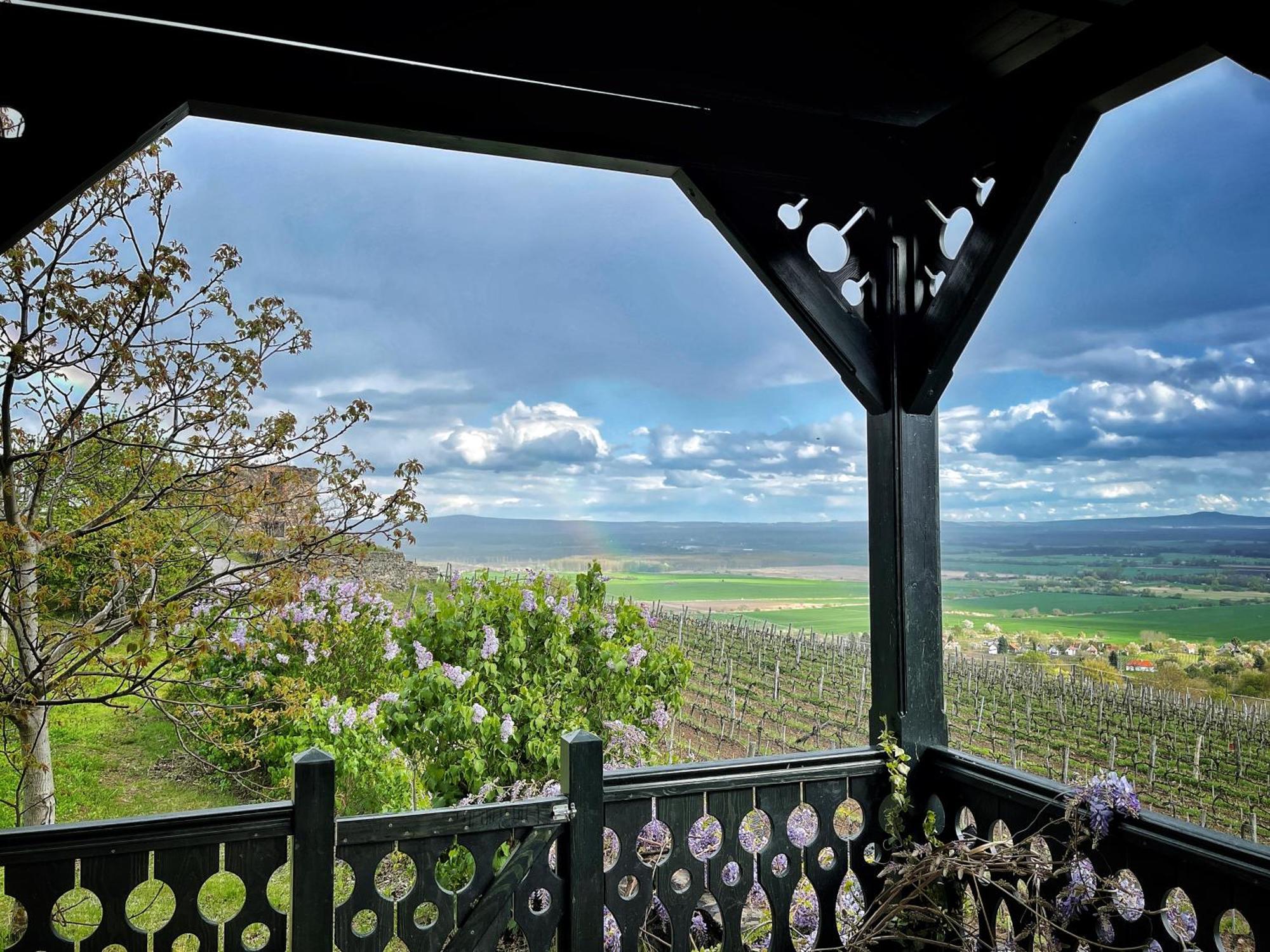 Somlo Wineshop Guesthouse Somlovasarhely Buitenkant foto