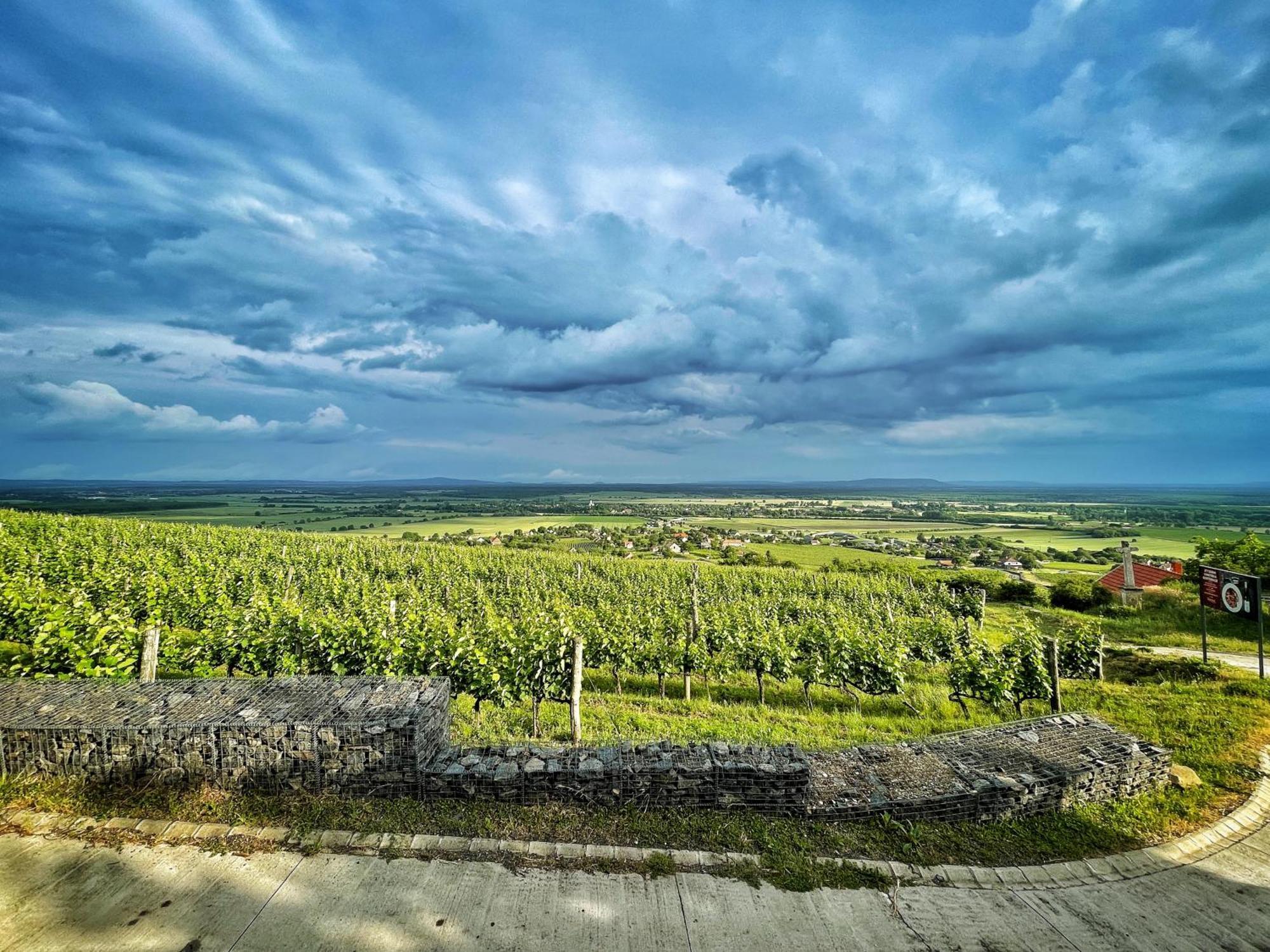Somlo Wineshop Guesthouse Somlovasarhely Buitenkant foto