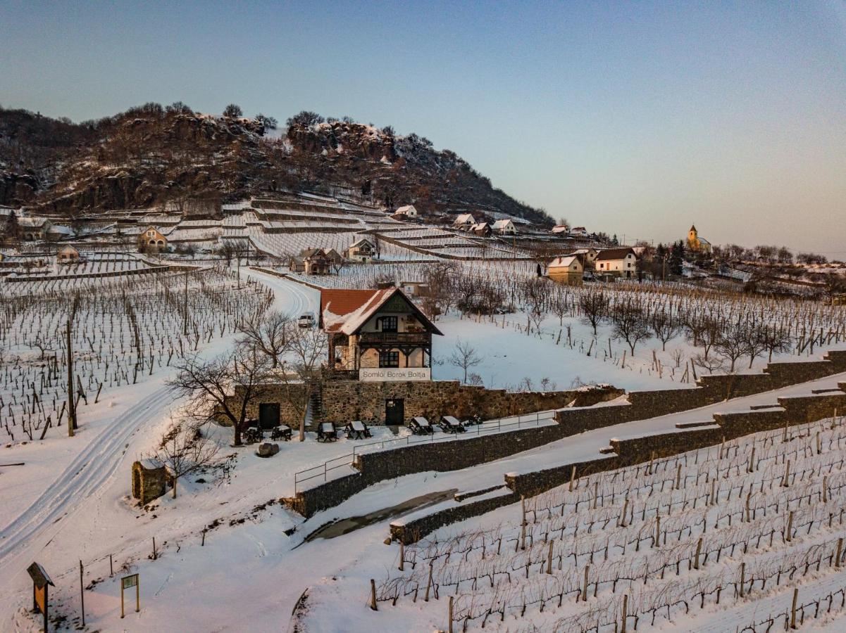 Somlo Wineshop Guesthouse Somlovasarhely Buitenkant foto